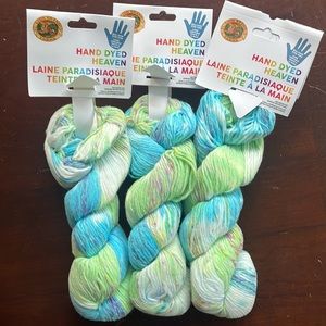 NWT 3 skeins Lion Brand Yarn Hand Dyed Heaven in Dayglow